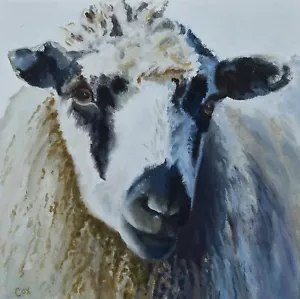 Sheep Portrait Oil Painting Original Farm Art By British Artist Bobby Cox - Picture 1 of 2
