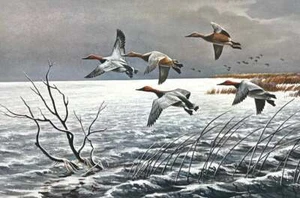 Maynard Reece - Passing Storm - Canvasbacks - S/N Lithograph - Signed - MINT - Picture 1 of 1