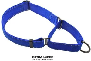 Max & Neo Nylon Dog Martingale Collar, Blue, XL - Picture 1 of 2