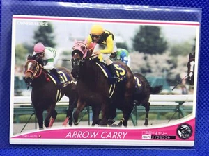 ARROW CARRY Horse Racing card OWNERS HOUSE Japanese BANDAI 2012 F/S - Picture 1 of 2