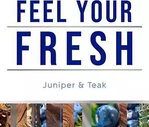 Automatic Spray Refill, Air Freshener for Home and Bathroom, Juniper & Teak, Fre - Picture 1 of 2