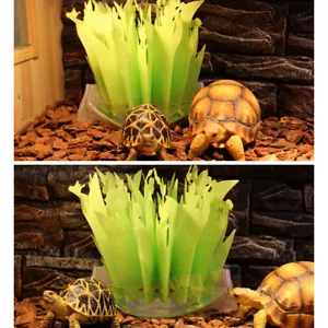 Reptile Air Humidifier Reptile Air Fresher Reptile Box - Picture 1 of 1