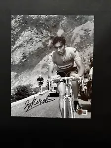 Eddy Merckx Selten! handsigniertes signed 5 x Tour Champion Cycle 8x10 Foto Beckett BAS - Bild 1 von 1