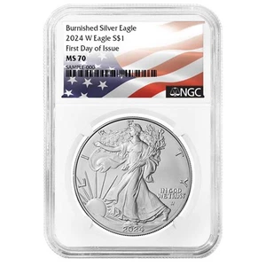 2024-W $1 1-oz Burnished American Silver Eagle NGC MS70 FDI Flag Label - Picture 1 of 3