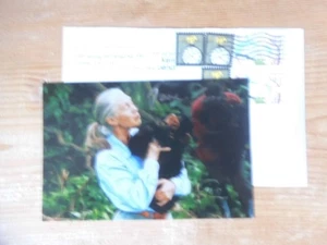 original Jane Goodall - Politik-Militär - Bild 1 von 1