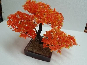 Bonsai in materiale plastico con basamento - Foto 1 di 7