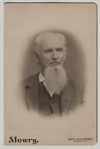 1880 Cabinet Card Portrait of William Townsend Carpenter (1811-1888) by EL Mowry - Picture 1 of 2