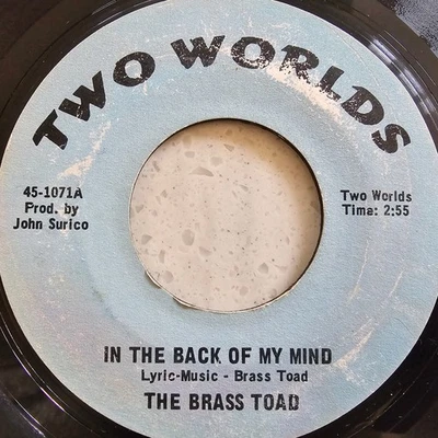 The Brass Toad – In The Back Of My Mind - Original 1969 Psyche Rock US 7" - Image 1 of 4