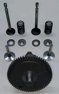 Troybilt Horse HH60 Camshaft With Lifters And Valves With Springs And Keepers. - Image 1 of 4