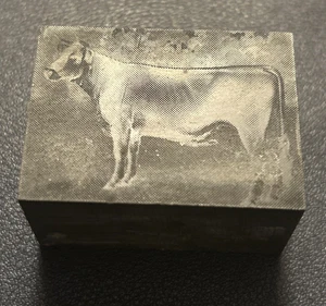 Cow, dairy bovine - solid metal | vintage letterpress printing block - Picture 1 of 4