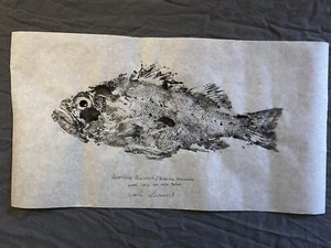 Original Gyotaku Fish Print Traditional Japanese Maritime Art Signed By Artist - Picture 1 of 5