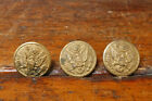 Lot of 3 - Vintage WW2 1940s Scovill Mfg Co Brass Eagle Military Uniform Buttons