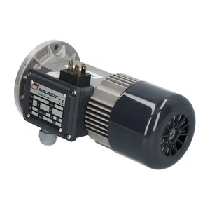 Mini Motor AC44 Motorreductor 11W Nuevo NMP - Imagen 1 de 7