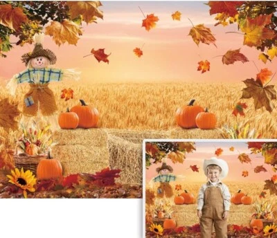 Autumn Photography Background Thanksgiving Harvest Barn Party Backdrop 5ftx7ft - Image 1 of 3