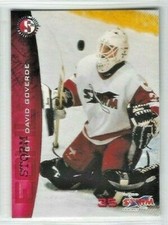1996-97 Toledo Storm (ECHL) David Goverde (goalie)