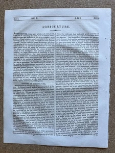 1828 Antique article on Agriculture- Farming with 3 original engravings - Picture 1 of 5