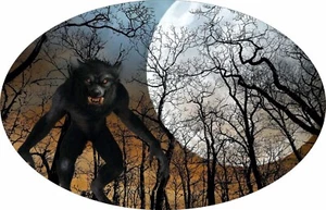 WOHNMOBIL VINYL GRAFIK AUFKLEBER ABZIEHBILD CAMPER WOHNMOBIL 70x45cm WERE WOLF OV1 - Bild 1 von 1
