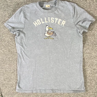 Camisa Hollister Niño Grande Gris Pullover Camiseta Manga Corta 100% Algodón Gaviota Foto 1 de 4