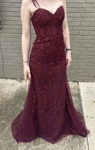 Prom Dress - Beautiful Formal Full Length Lace Gown - Picture 1 of 3