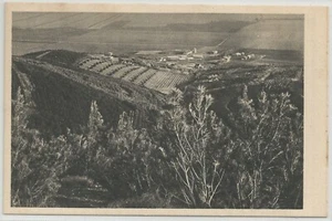 Israel Palästina s/w Postkarte "Kwuzah Essig" von BENOR-KALTER 310 - Bild 1 von 1