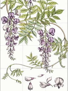 Panel de cerámica mural/mosaico de azulejos de arte de pared flor de glicina - estampado botánico - Imagen 1 de 4