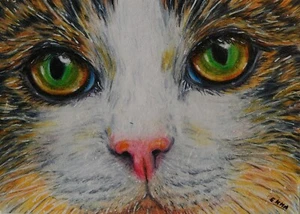 ACEO PRINT - CALICO CAT - animales mascotas dulces gatos gatito gatito miniatura por EMMA - Imagen 1 de 3