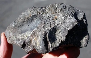 Skull Section • 1 lb.  3.8 oz. • Bone Cabin Quarry, Wyoming - Picture 1 of 10