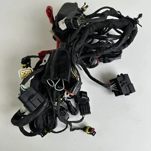 Benelli Leoncino 800 Sport-Naked 2022 Main wiring loom harness cables - Picture 1 of 6