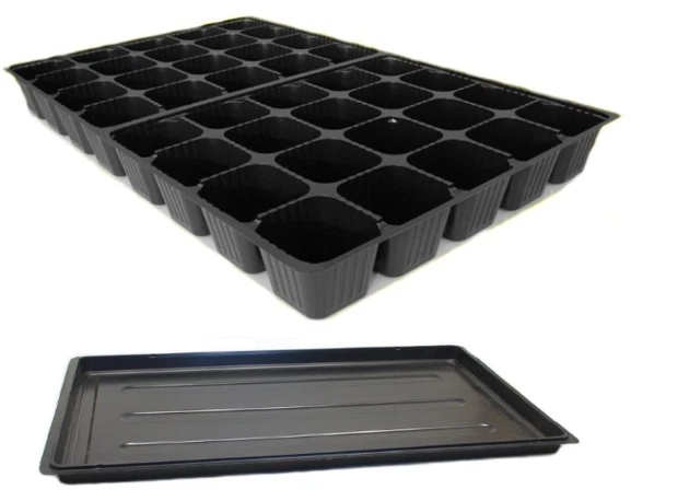 Anzuchtplatte Topfplatte 40 Töpfe Pflanzen Aussaat Multitopf Multitopfpalette To - Bild 1 von 1