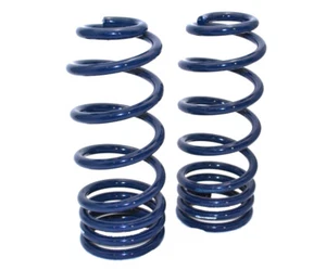 Ridetech Rear Springs 64-67 A-Body - Bild 1 von 1
