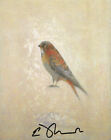 ED MUSANTE - Artist - Birds - Autograph Gallery Card