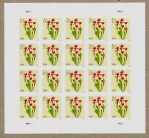 ROTE TULPENBLUMEN 2024 US SCOTT #5900 NATUR 20 POSTFRISCH XF 5c BRIEFMARKENBOGEN NEU IN VERPACKUNG - Bild 1 von 3