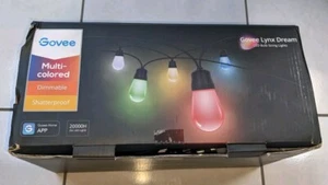 Govee Lynx Dream 48ft LED Bulb String Lights H7020 15 Bulbs New Lights Only - Picture 1 of 2