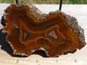 TCR CONDOR AGATE/JASPER/LAPIDARY POLISHED HALF 285 GRAMS - Picture 1 of 4