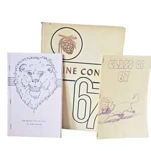 PINE CONE NEW BOSTON, TX 1967 HIGH SCHOOL YEARBOOK + REUNION BOOKLETS - Picture 1 of 11