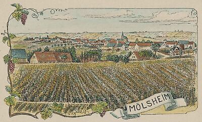 MÖLSHEIM - Gesamtansicht - Kolorierter Holzstich Um 1910 • 40€