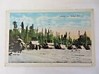 Vintage RPPC Postcard Logging Near Antigo Wisconsin Unposted #11876