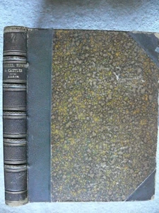 HOUSES HOMES & CASTLES by Innes Adair. Weekly Scotsman: by GHDM 1899 (Scrapbook) - Bild 1 von 11