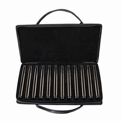EASTTOP tremolo Harmonica 12 Sets 24hole tremolo harmonica Mouth Organ Set T2403 - Image 1 of 4