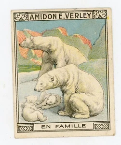 PUB, ancien chromo amidon VERLEY ours blanc Marquette Lille en famille - Picture 1 of 2