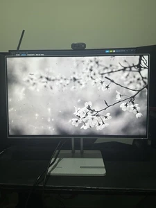 Lenovo L24i-4A 23.8" Full HD IPS LCD Monitor – 100Hz, 1ms, HDMI/VGA - Picture 1 of 5