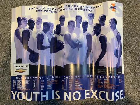 2002-2003 Illinois Fighting Illini Basketball Poster Deron Williams Dee Brown Cover