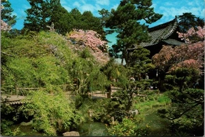 Willow Tree Kirschblüten JAPANISCHER TEEGARTEN San Francisco, ca 4x6 Postkarte - Bild 1 von 2