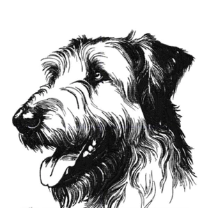 IRISCHER WOLFHUND Hunderasse personalisierte bestickte Vlies Stadiondecke Geschenk - Bild 1 von 2