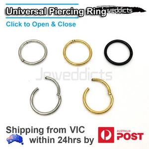 Hinged Ring Hoop Clicker Surgical Steel Septum Segment Ear Nose Lip Piercing - Picture 1 of 6