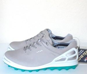 ecco biom evo trainer
