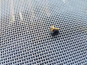 Daiwa J1650L or 2050L Screw # 351-6102 - Picture 1 of 1