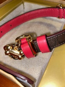NIB Coach Signature Dog Pet Collar Brown Black Red Apple Small - Picture 1 of 4