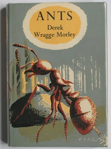 Ants by Derek Wragge Morley. 1953. 1ST EDITION. SIGNED. Dust Jacket - Picture 1 of 5