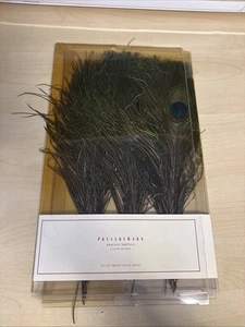 POTTERY BARN - Peacock Feathers - Vase Decorative Filler (set of 12) - Picture 1 of 5